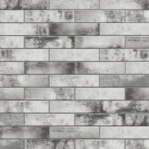 Obrazek Piatto Gris  7.4/30