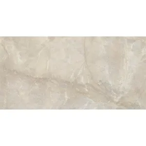 Obrazek Elegance Ivory  60/120