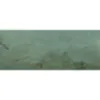Obrazek Glazura Goldgreen Green 29,8/74,8