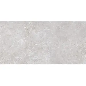 Obrazek Base Petra Gris Asp R11 905915 59,7/119,7