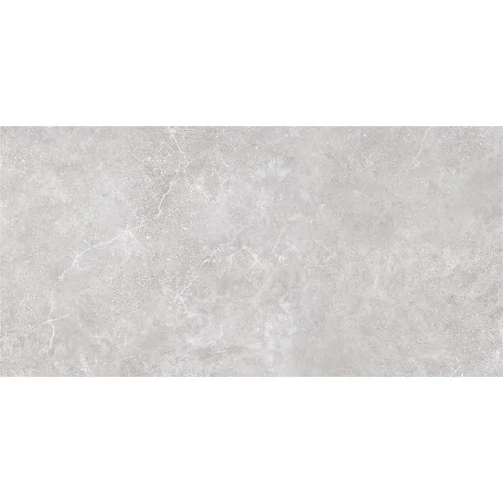 Obrazek Base Petra Gris Asp R11 905915 59,7/119,7