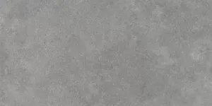 Obrazek Gres Provenza Nebbia 60/120