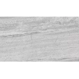 Obrazek Gres Astor Gris 30/60