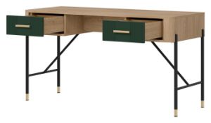 Obrazek Biurko Dante DT23 zielony