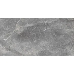 Obrazek Gres Merison Grey Pol. 60/120