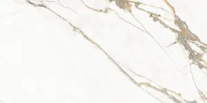 Obrazek Gres New Capitol 60/120