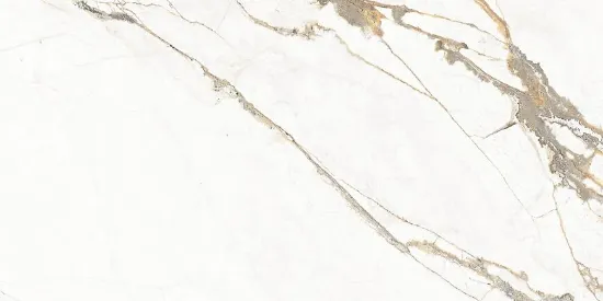 Obrazek Gres New Capitol 60/120