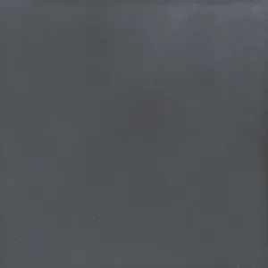 Obrazek Gres Black Matt (GPT110) 29,8/29,8