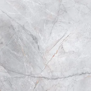 Obrazek Silver Heels Grey 59,8/59,8 Rect.