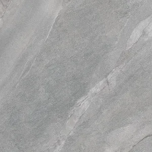 Obrazek Gres Halley Silver 100/100 Rect. Pei III