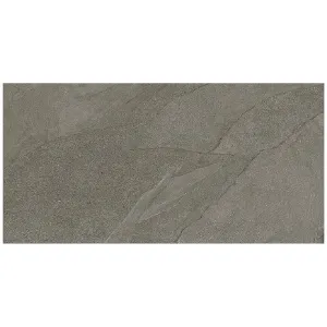 Obrazek Halley Silver 60/120/2