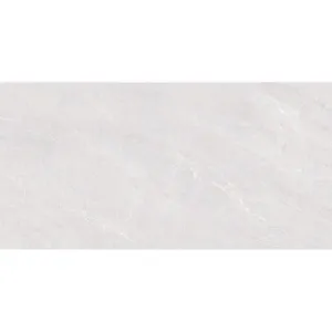 Obrazek Gres Fredrick Blanco Poler 60/120