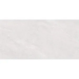 Obrazek Gres Fredrick Blanco Poler 60/120