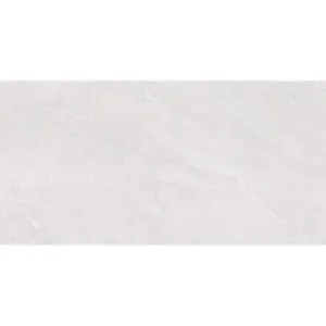 Obrazek Gres Fredrick Blanco Poler 60/120