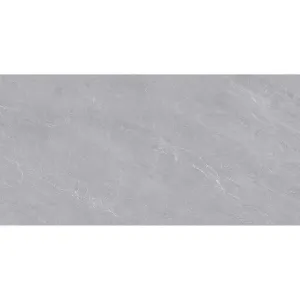 Obrazek Gres Fredrick Grey Poler 60/120