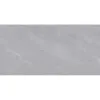 Obrazek Gres Fredrick Grey Poler 60/120