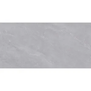 Obrazek Gres Fredrick Grey Poler 60/120