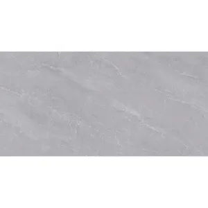 Obrazek Gres Fredrick Grey Poler 60/120