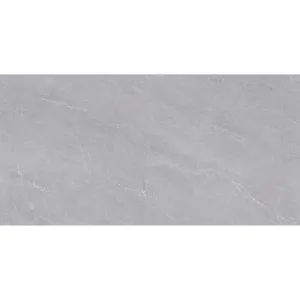 Obrazek Gres Fredrick Grey Poler 60/120