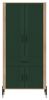 Obrazek Szafa Dante DT16 zielony