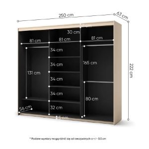 Obrazek Szafa trzydrzwiowa z lustrem Trend TS-02