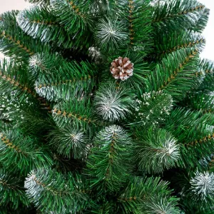 Obrazek Choinka sosna maxim 220 cm.