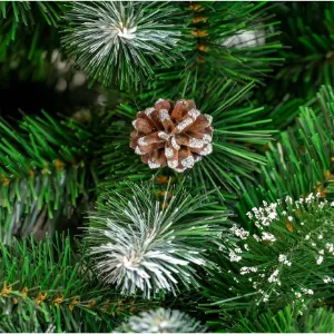 Obrazek Choinka sosna maxim 220 cm.