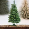 Obrazek Choinka sosna z końcówką zieloną 220 cm.