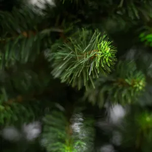 Obrazek Choinka sosna z końcówką zieloną 220 cm.