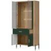 Obrazek Witryna Dante Dt14 Dąb Cremona/Zielony
