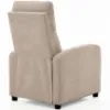 Obrazek Fotel Pillo Holms 23 beżowy