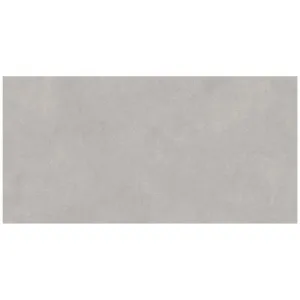 Obrazek Toronto Grey Matt 60/120 Rect. Pei 4