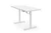 Obrazek Biurko Birs z funkcją regulacji wysokości biały/biały