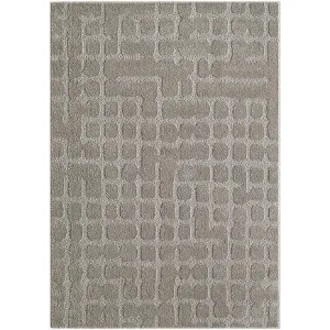 Obrazek Dywan Alba 0,8/1,5 FR2521 szary