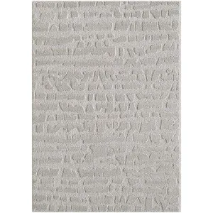 Obrazek Dywan Alba 1,6/2,3 FR2522 szary