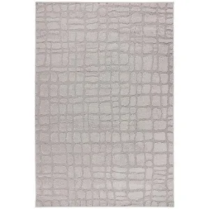 Obrazek Dywan Lotus 1,6/2,3 LOT301 srebrny