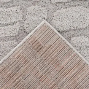 Obrazek Dywan Lotus 1,6/2,3 LOT301 srebrny