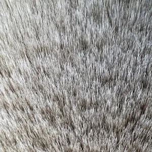 Obrazek Dywan Emotion 0,6/1,1 EMO 500 beżowy