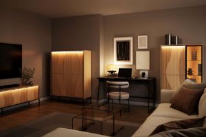 Obrazek Szafka RTV Flow FW-05