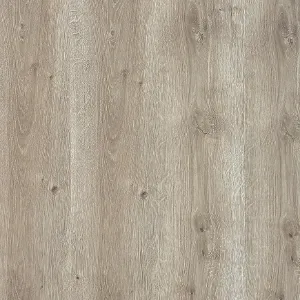 Obrazek Panel podłogowy Dąb Salerno 8mm AC4 Promo 4569