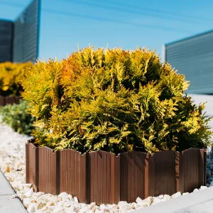 Obrazek Palisada PA80 (zestaw 5 sztuk) Stella Green brąz