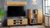 Obrazek Szafka RTV 155 cm loft dąb craft złoty