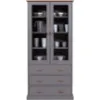 Obrazek Witryna Luzerna Lz 10 Szary
