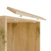 Obrazek Szafka na pralkę lub suszarkę Zara 2S dąb artisan