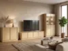 Obrazek Szafka Rtv Ringo Rtv3d Baltic Dune